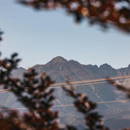 Willa Szarotka Gliczarów Exteriér fotografie